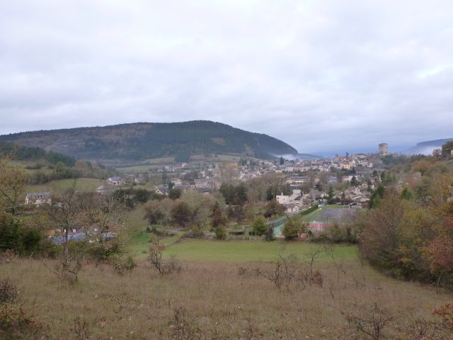 P1010581 (Copier).JPG